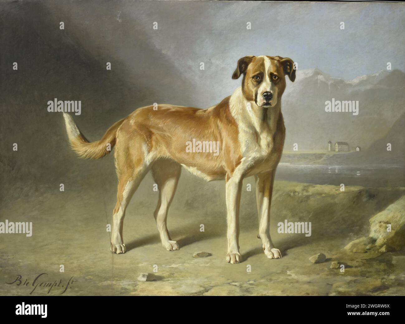 Un chien de Saint Bernard, Bernard te Gempt, c. 1850 - c. 1879 peignant Un Saint-Bernardshond, debout dans un paysage, avec des montagnes au loin. toile. Peinture à l'huile (peinture) chien (ST.BERNARD) Banque D'Images