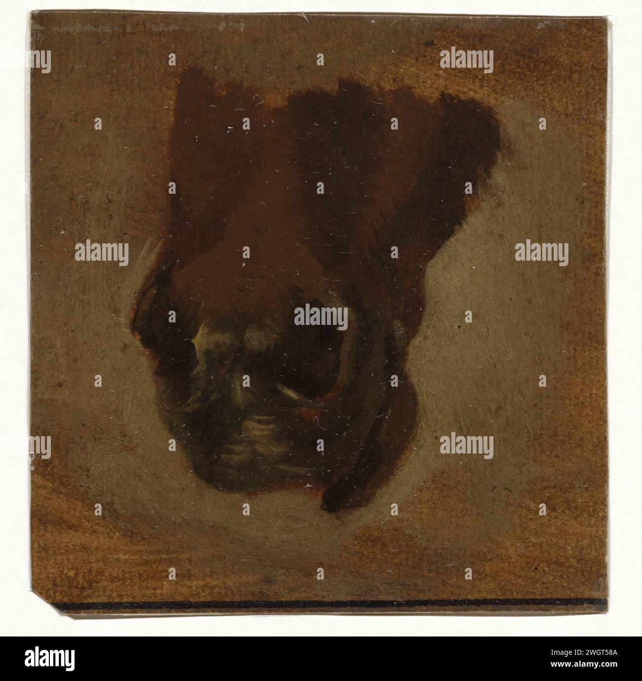 Henriëtte Ronner, 1831 - 1909 papier à dessin. cheval de pinceau de peinture à l'huile Banque D'Images