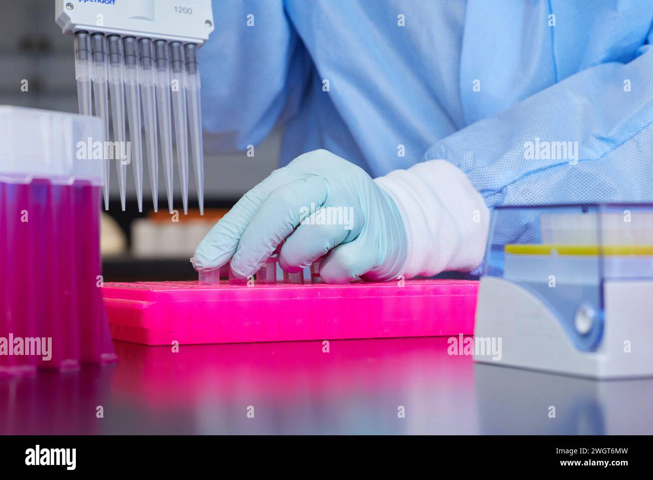 Outils et contenants dans un laboratoire médical, travail effectué avec pipette et échantillons Banque D'Images