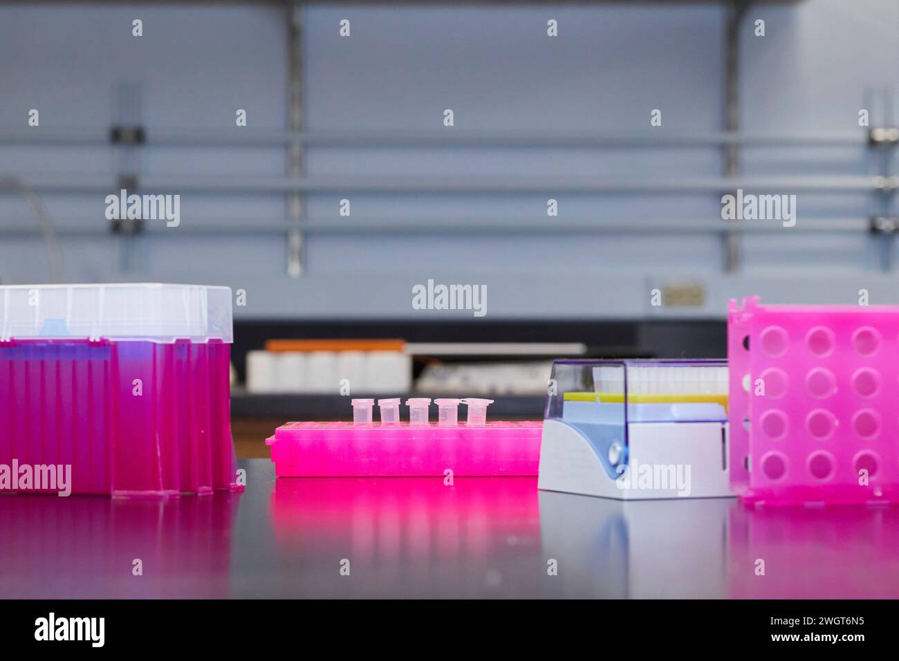 Outils et conteneurs dans un laboratoire médical Banque D'Images