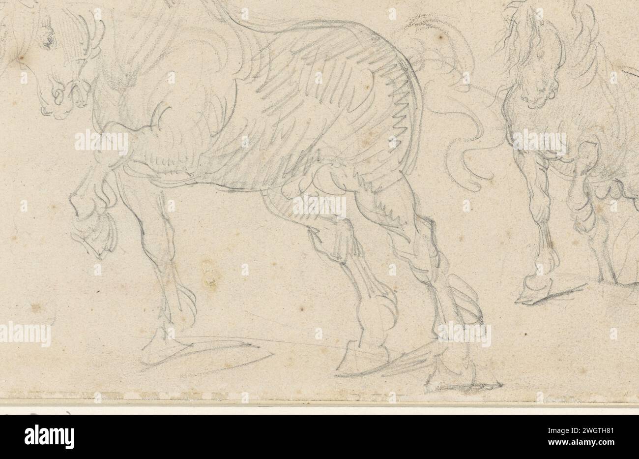 PaardStudies, Théodore Géricault, 1801 - 1824 dessin France papier. cheval crayon Banque D'Images