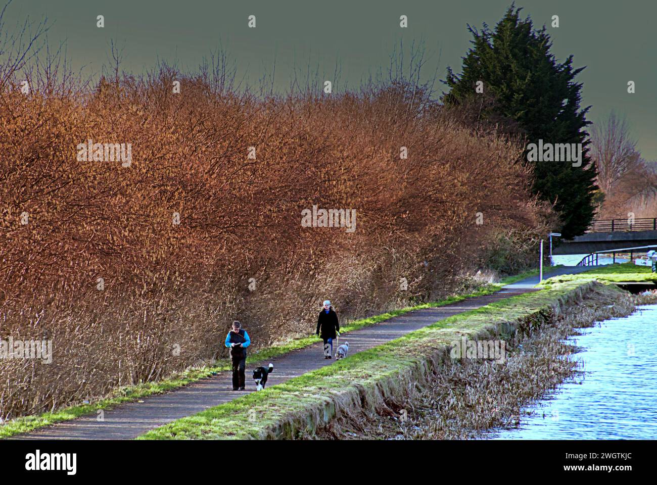 Glasgow, Écosse, Royaume-Uni. 6 février 2024. Météo britannique : après les inondations, les habitants ont vu sur le chemin de halage du canal Forth et clyde route 754 dans le nord de la ville. Crédit Gerard Ferry/Alamy Live News Banque D'Images