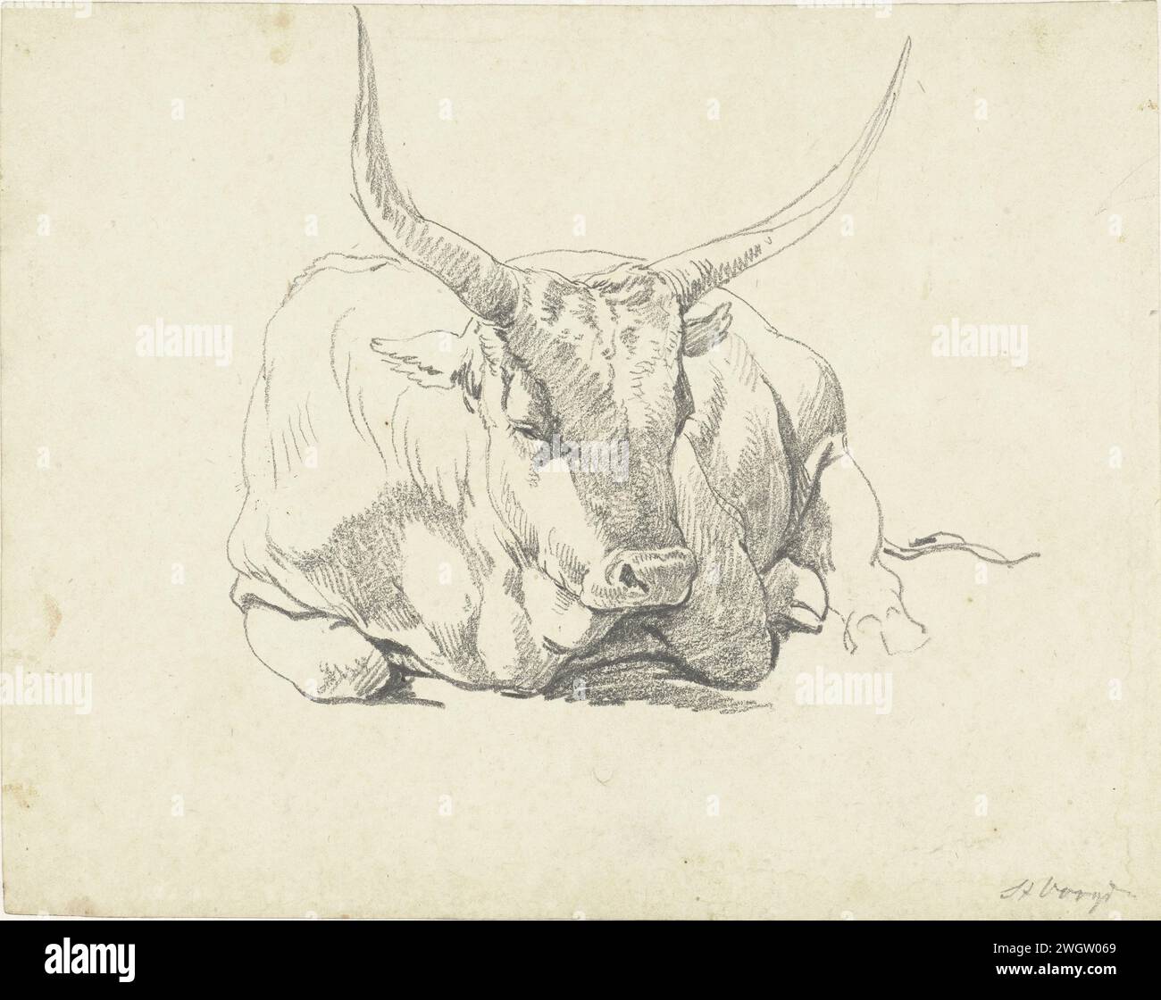 Vache couchée avec de longues cornes, Hendrik Voogd, 1788 - 1839 papier à dessin. vache à craie Banque D'Images