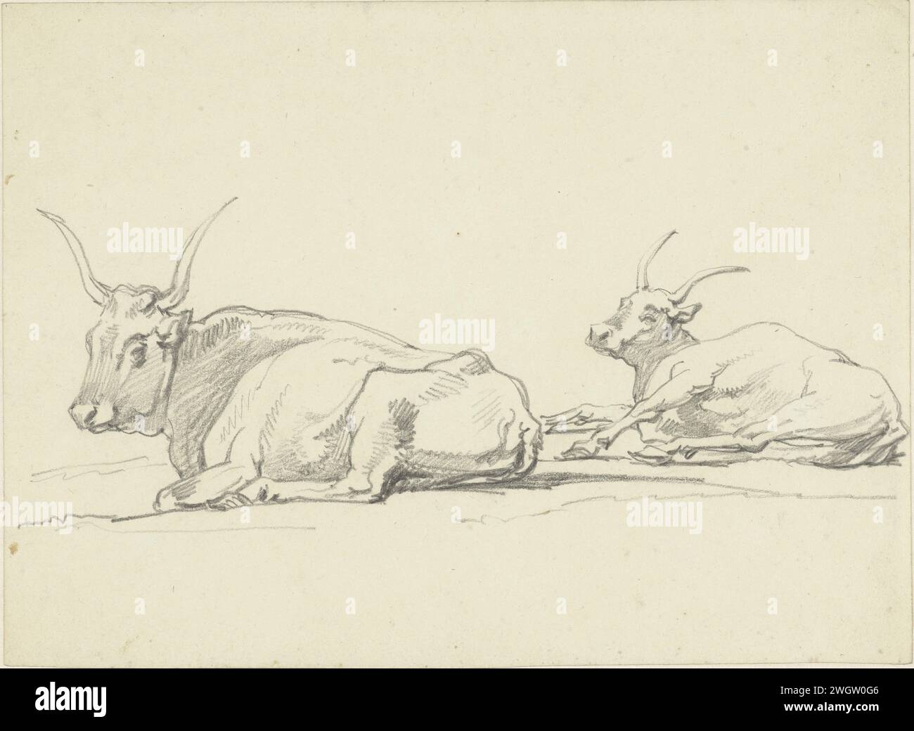 Deux vaches couchées avec de longues cornes, Hendrik Voogd, 1788 - 1839 papier à dessin. vache à craie Banque D'Images