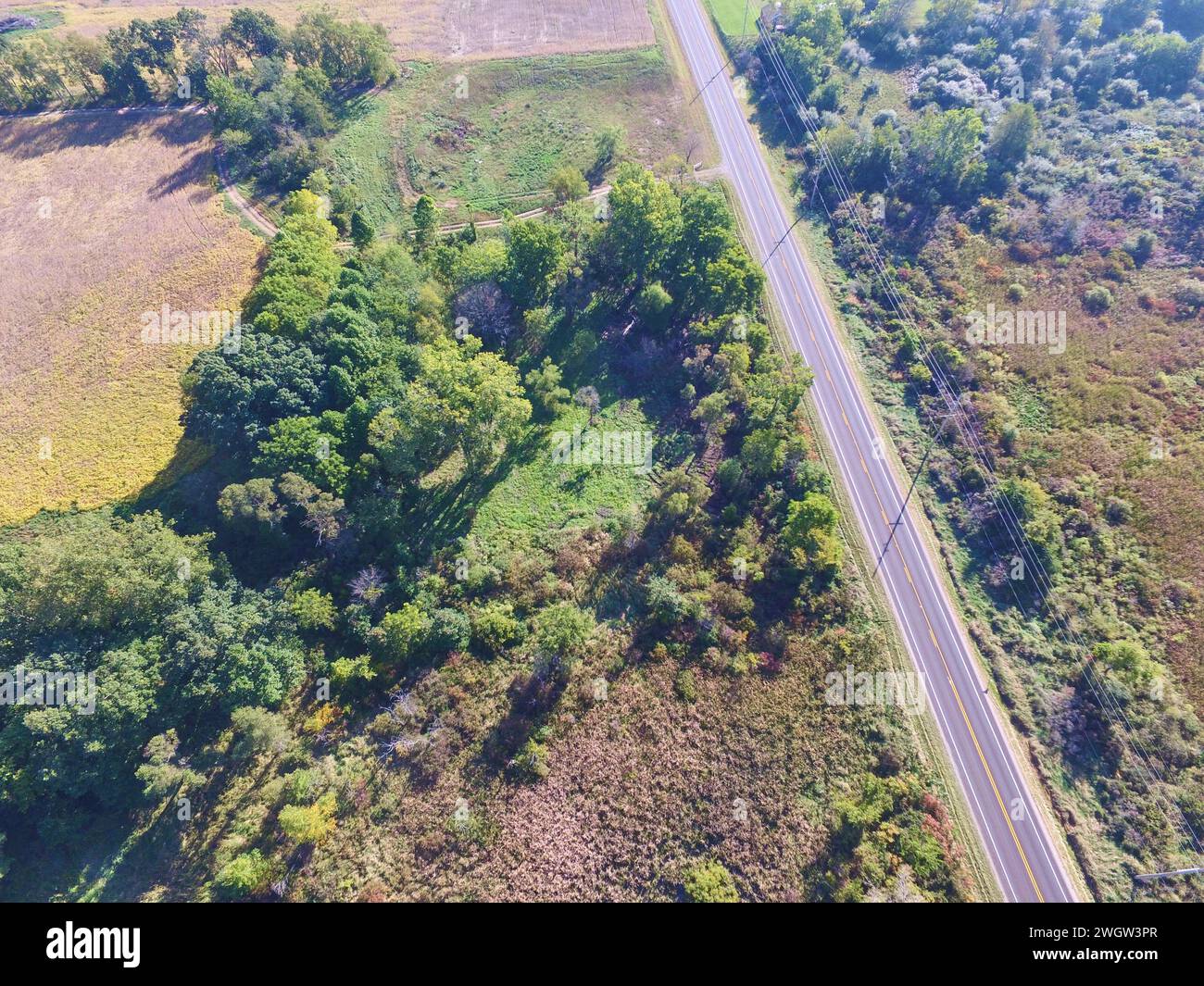 Vue aérienne des champs d'automne et des arbres verts par route rurale Banque D'Images
