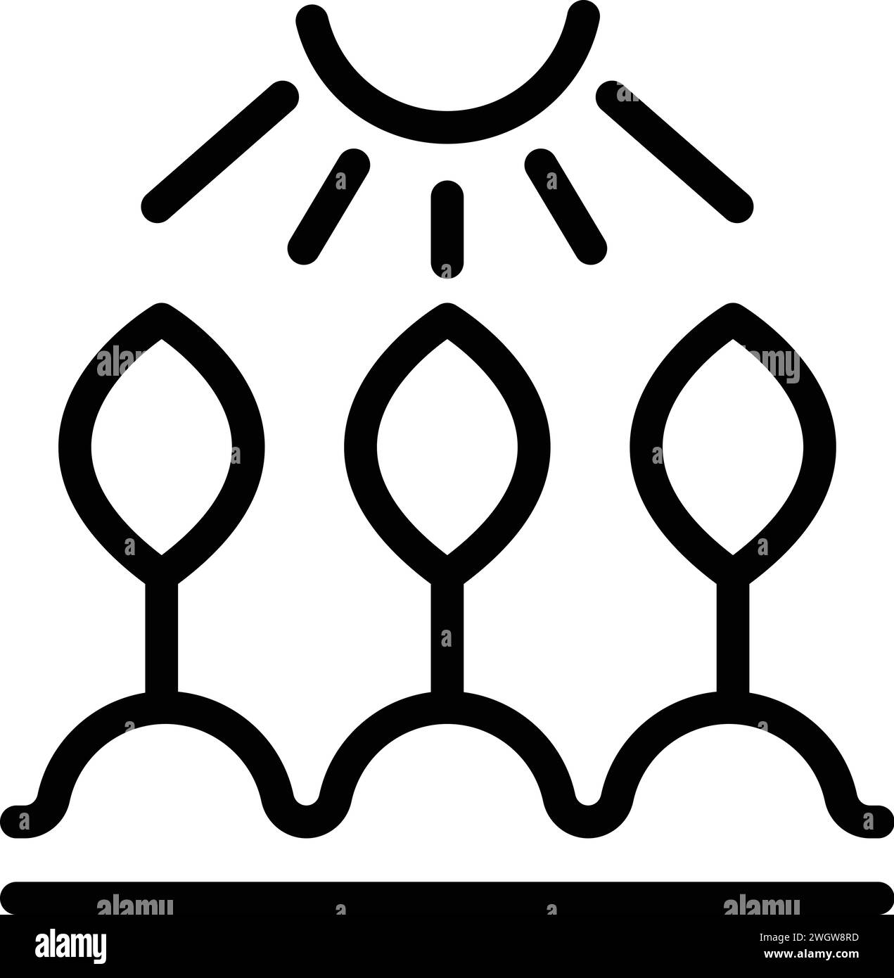 Cultivez le vecteur de contour d'icône de plante solaire. Terres rurales agricoles. Jardin d'automne Illustration de Vecteur