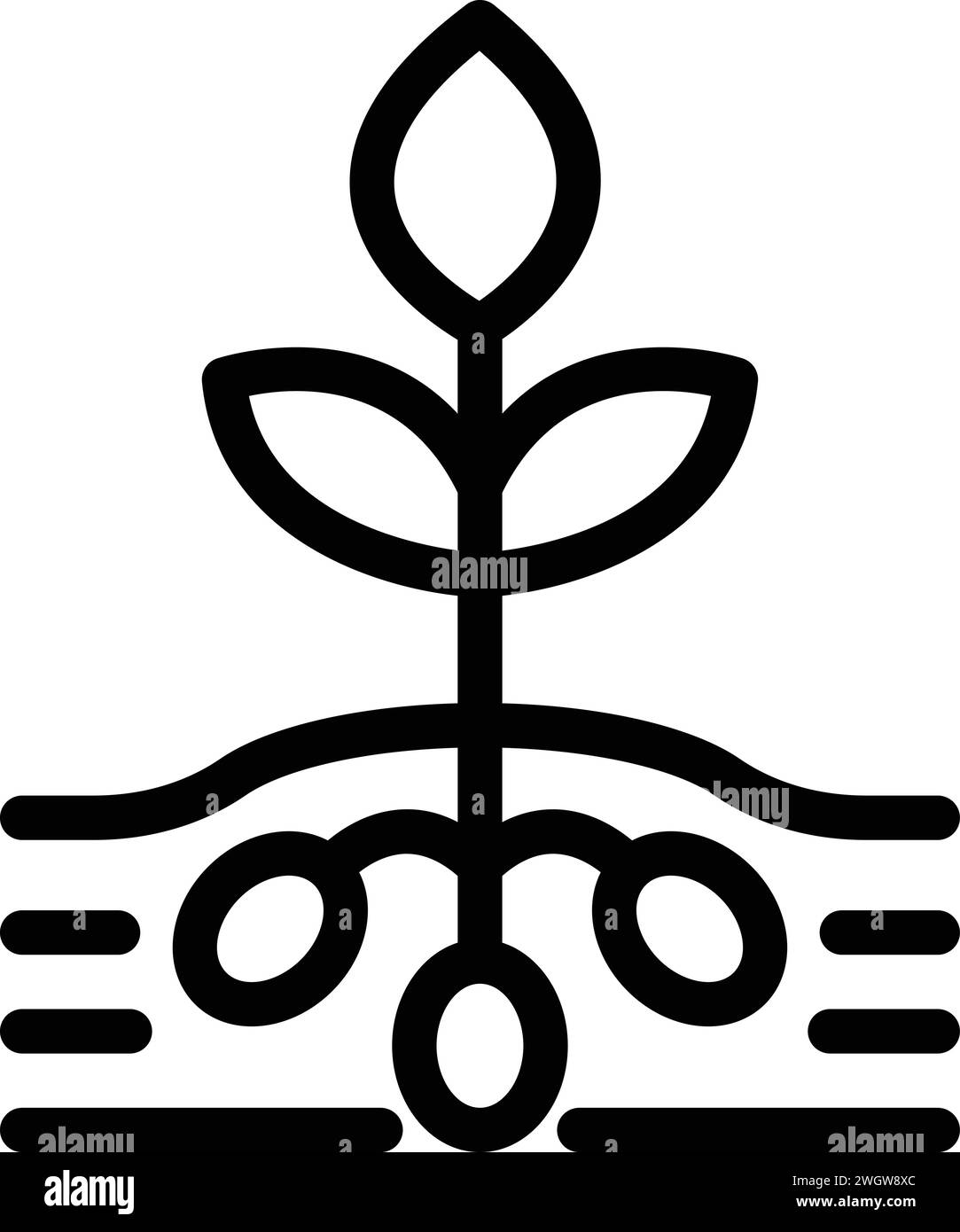 Vecteur de contour d'icône de plante de culture de céréales. Champ d'agronomie. Terres rurales agricoles Illustration de Vecteur