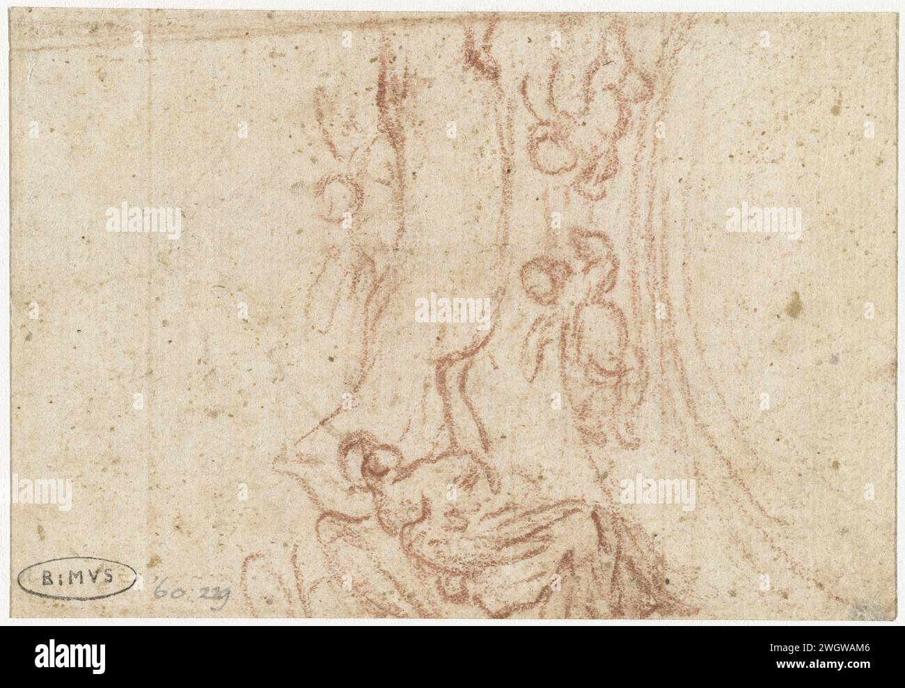 Anges flottants avec Banderol, Giacinto Brandi (attribué à), 1633 - 1691 papier à dessin. ange(s) craie représenté(s) comme enfant(s) Banque D'Images