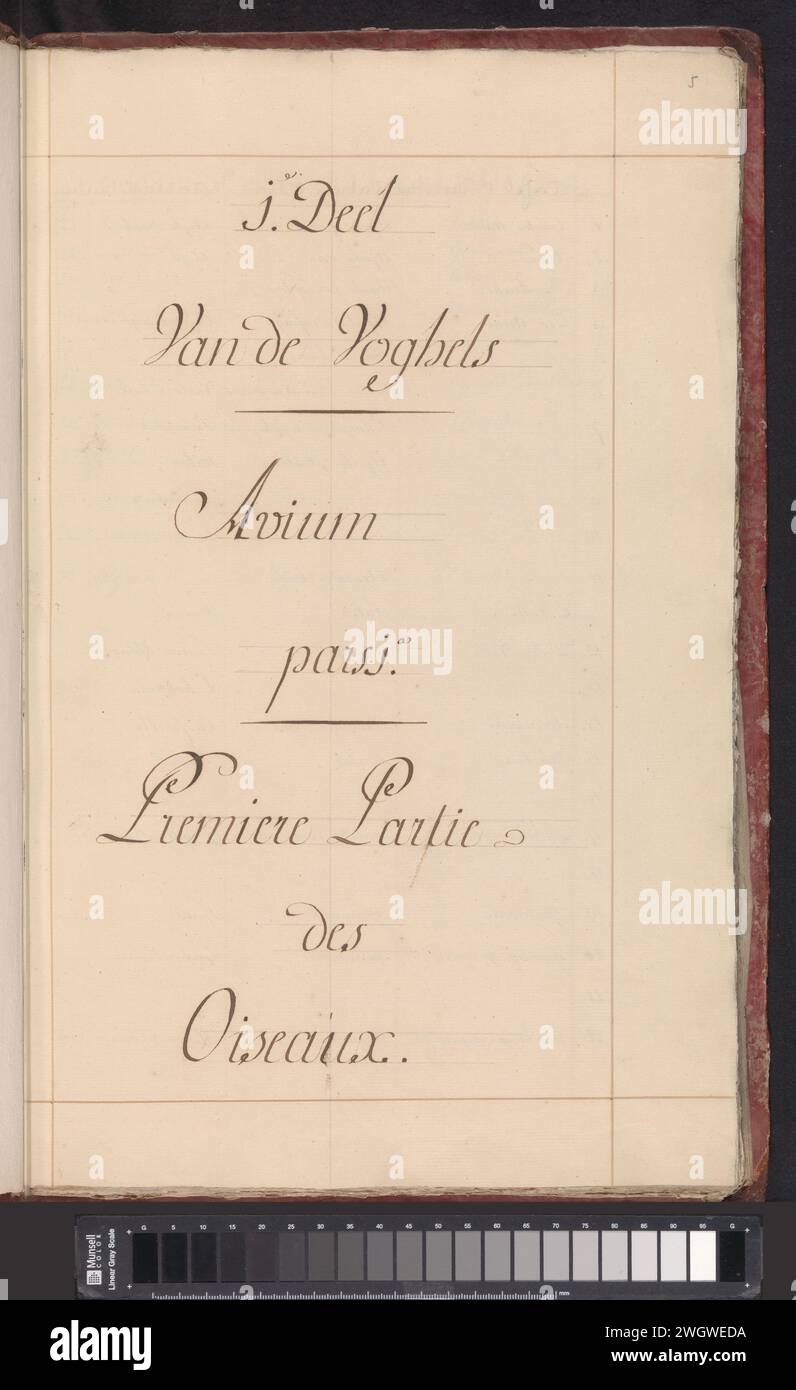 Album avec oiseaux, Anselmus Boëtius de Boodt, 1809 - 1814 album. Album de dessin avec des aquarelles d'oiseaux. Le troisième des douze albums avec des aquarelles d'animaux, d'oiseaux et de plantes connus vers 1600, réalisé pour le compte de l'empereur Rudolf Ier Avec explication en néerlandais, latin et français. Dessinateur : Praagdraughtsman : DelftBruges paper. aquarelle (peinture). brosse à cuir Banque D'Images