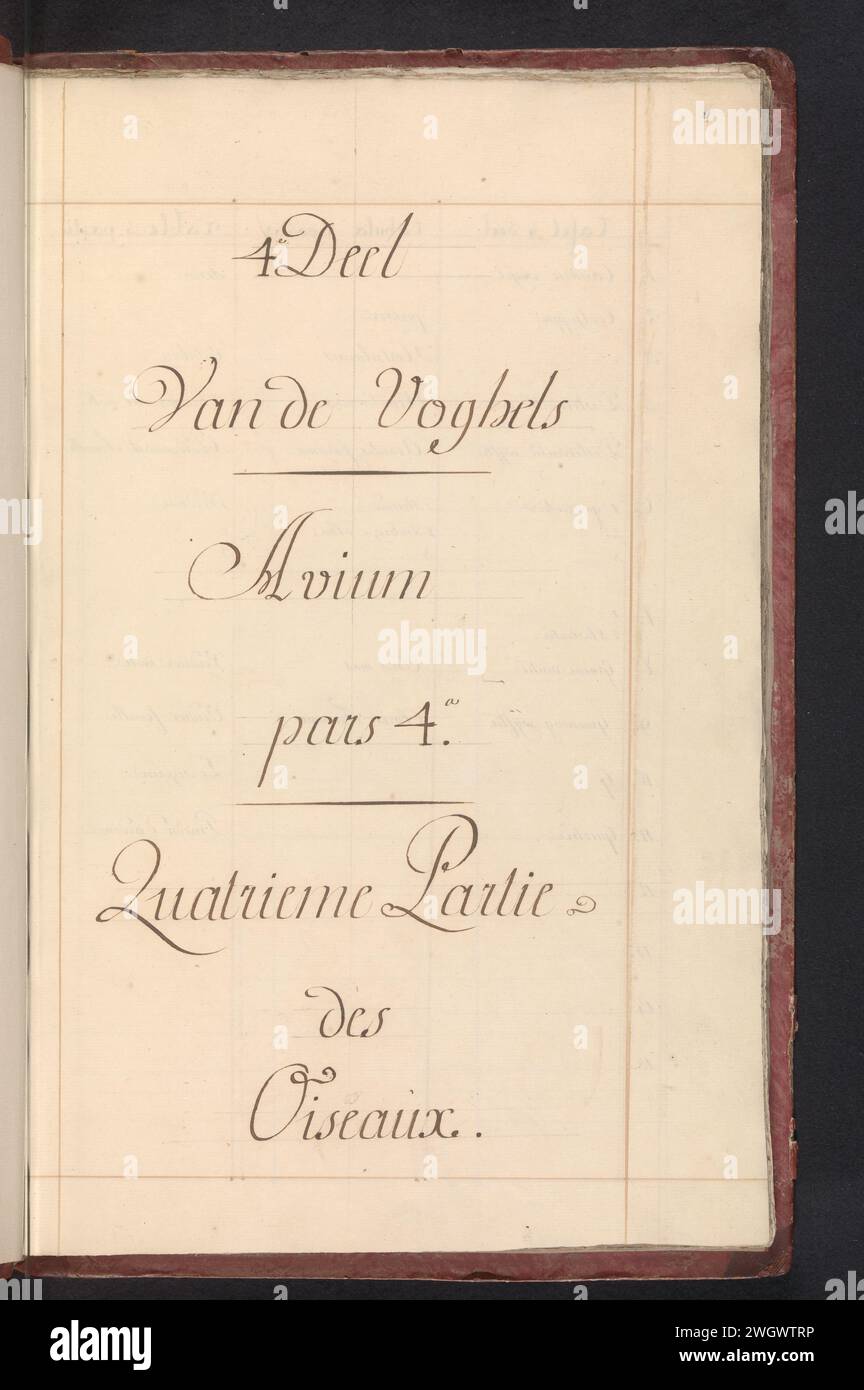 Album avec oiseaux, Anselmus Boëtius de Boodt, 1809 - 1814 album. Album de dessin avec des aquarelles d'oiseaux. Le quatrième des douze albums avec des aquarelles d'animaux, d'oiseaux et de plantes connus vers 1600, réalisé pour le compte de l'empereur Rudolf Ier Avec explication en néerlandais, latin et français. Dessinateur : Praagdraughtsman : DelftBruges paper. aquarelle (peinture). brosse à cuir Banque D'Images