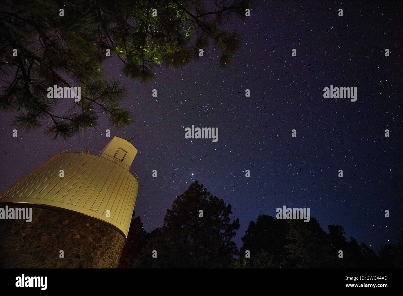 Nuit étoilée au-dessus de l'observatoire Lowell avec silhouettes d'arbres Banque D'Images
