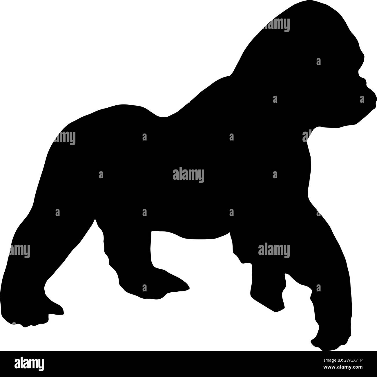 Silhouette d'un gorille marchant, en noir, isolé Illustration de Vecteur