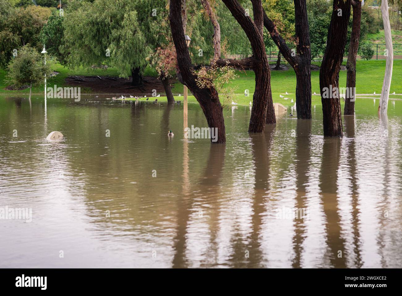 Terrain de jeu inférieur et grand étang au parc Polliwog inondé par la pluie à Manhattan Beach, CA Banque D'Images