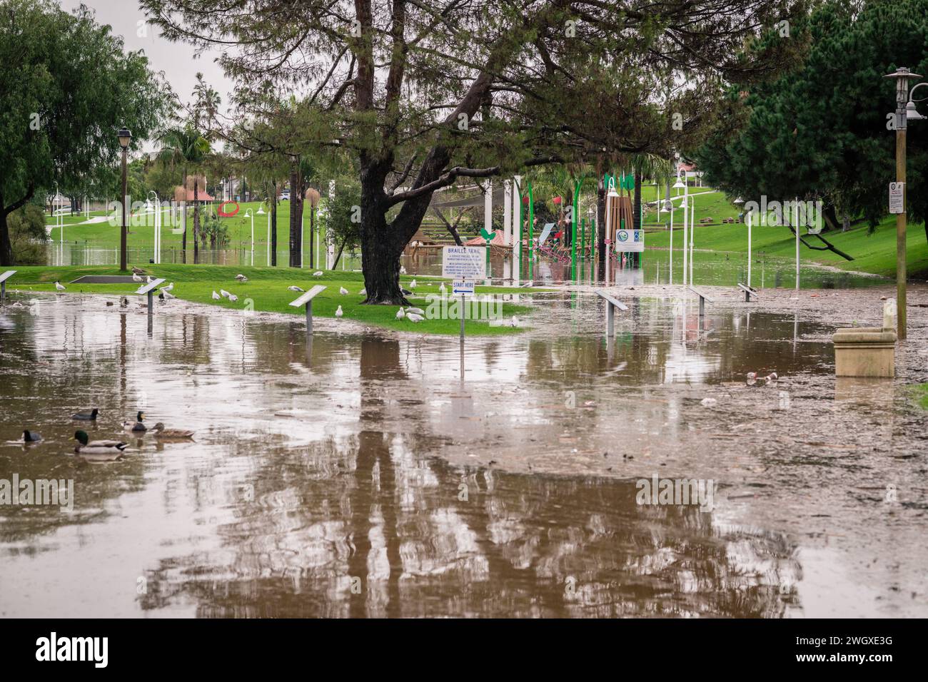 Terrain de jeu inférieur et grand étang au parc Polliwog inondé par la pluie à Manhattan Beach, CA Banque D'Images