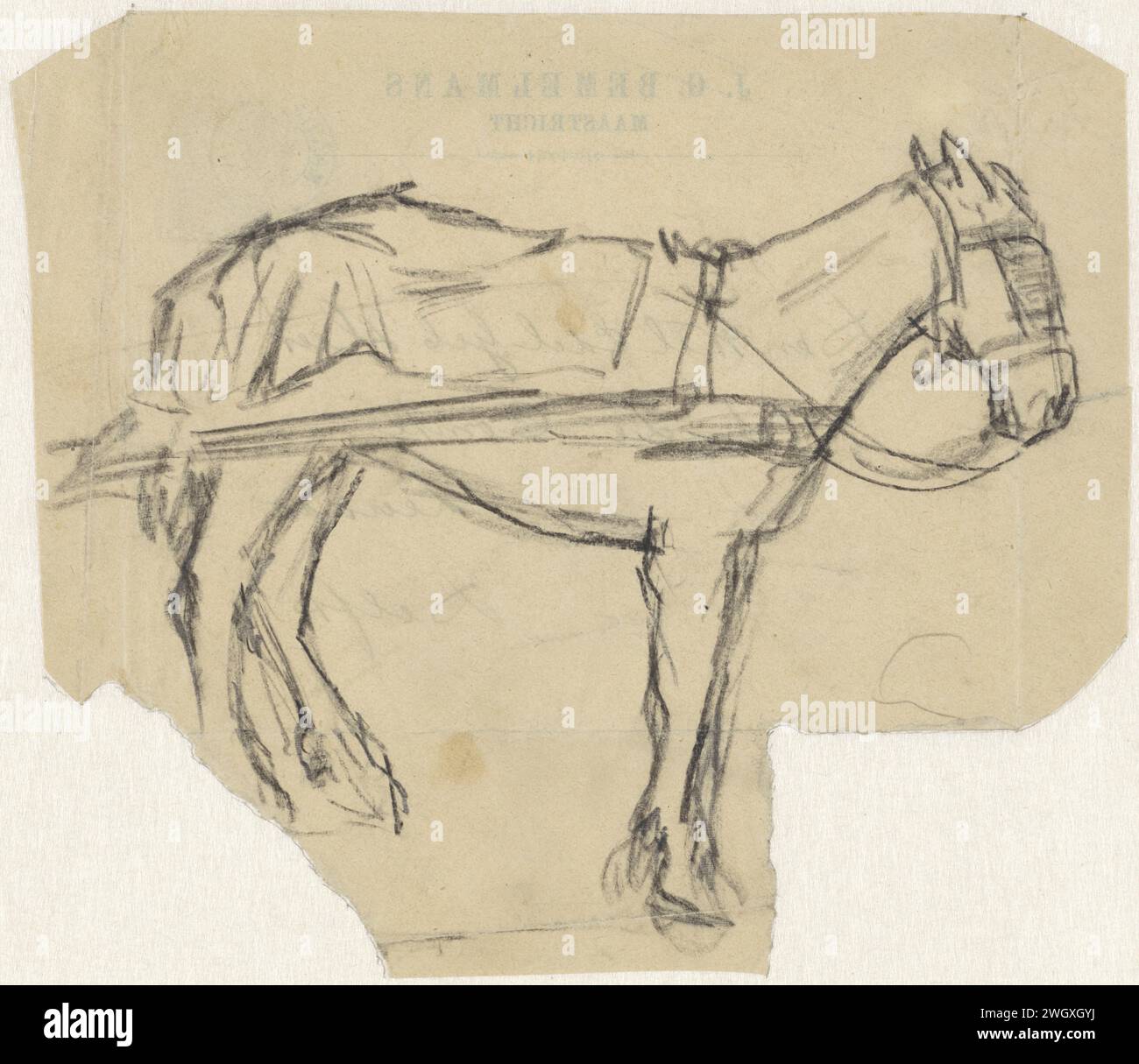 Extensed Horse, Adolf le Comte, 1860 - 1921 papier à dessin. cheval de craie Banque D'Images