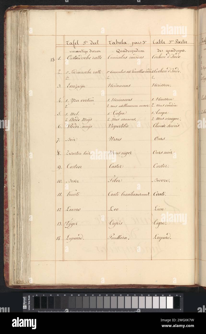 Liste des animaux dans la troisième partie des amis à quatre pattes, Joseph van Huerne (possible), 1809 - 1814 schéma manuscrit avec une liste des animaux présentés dans la troisième partie des amis à quatre pattes : numéros 1-14. Fait partie du premier album avec des dessins d'amis à quatre pattes. Premier de douze albums avec des dessins d'animaux, d'oiseaux et de plantes connus vers 1600, commandé par l'empereur Rudolf Ier Avec explication en néerlandais, latin et français. Papier usagé. stylo à encre / manuscrit manuscrit, texte écrit Banque D'Images