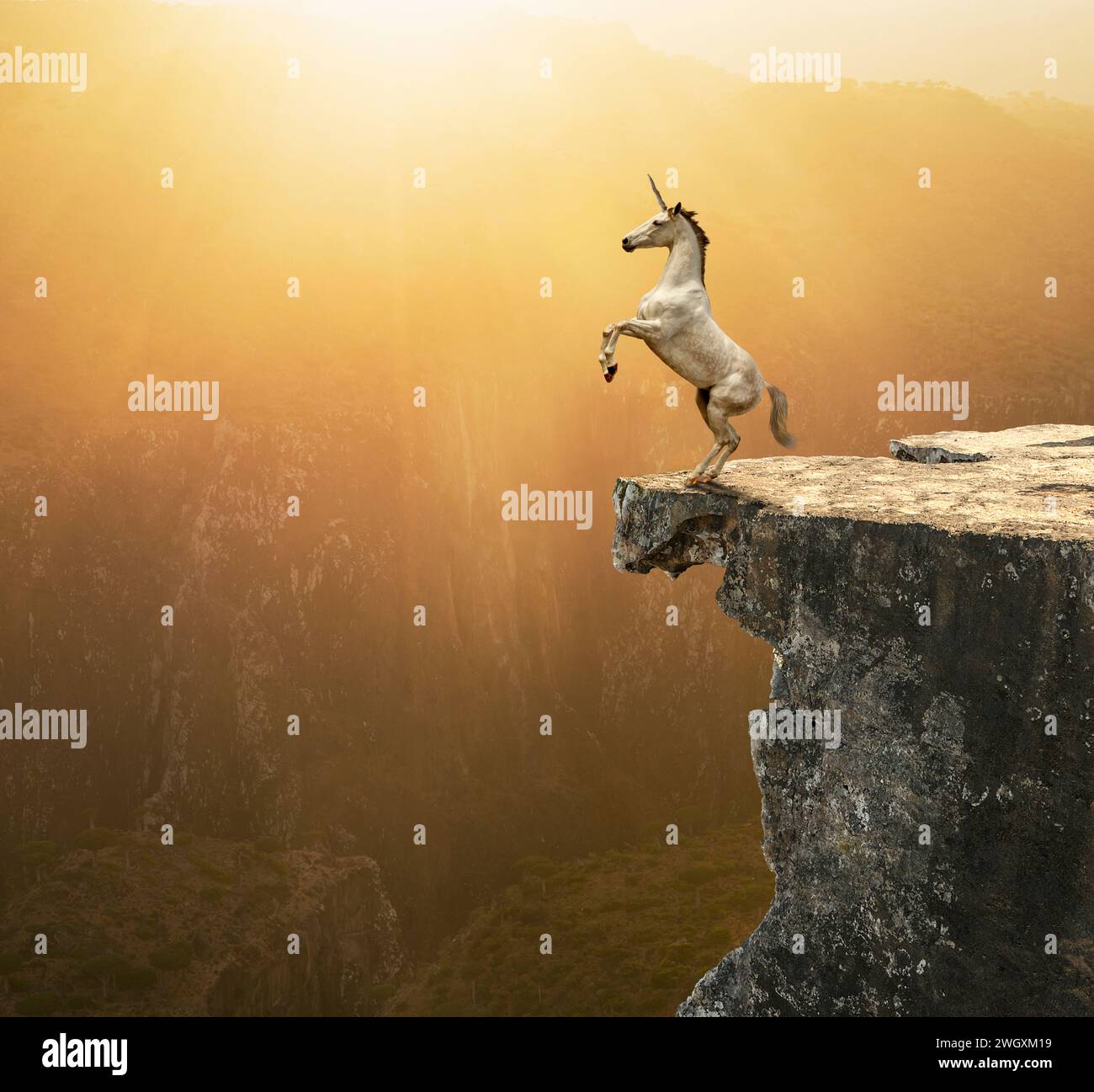 Une licorne surgit au bord d’une falaise sous un coucher de soleil doré dans une image sur la fantaisie, la mythologie et l’exceptionnel. Banque D'Images