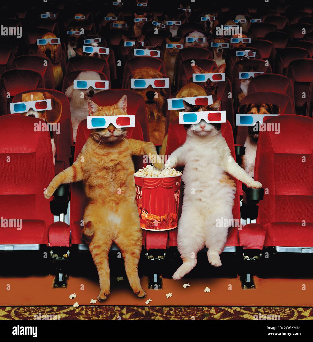 Deux chats drôles partagent un pot de pop-corn tout en regardant un film avec des lunettes 3D dans une salle remplie de chats et de chiens. Banque D'Images