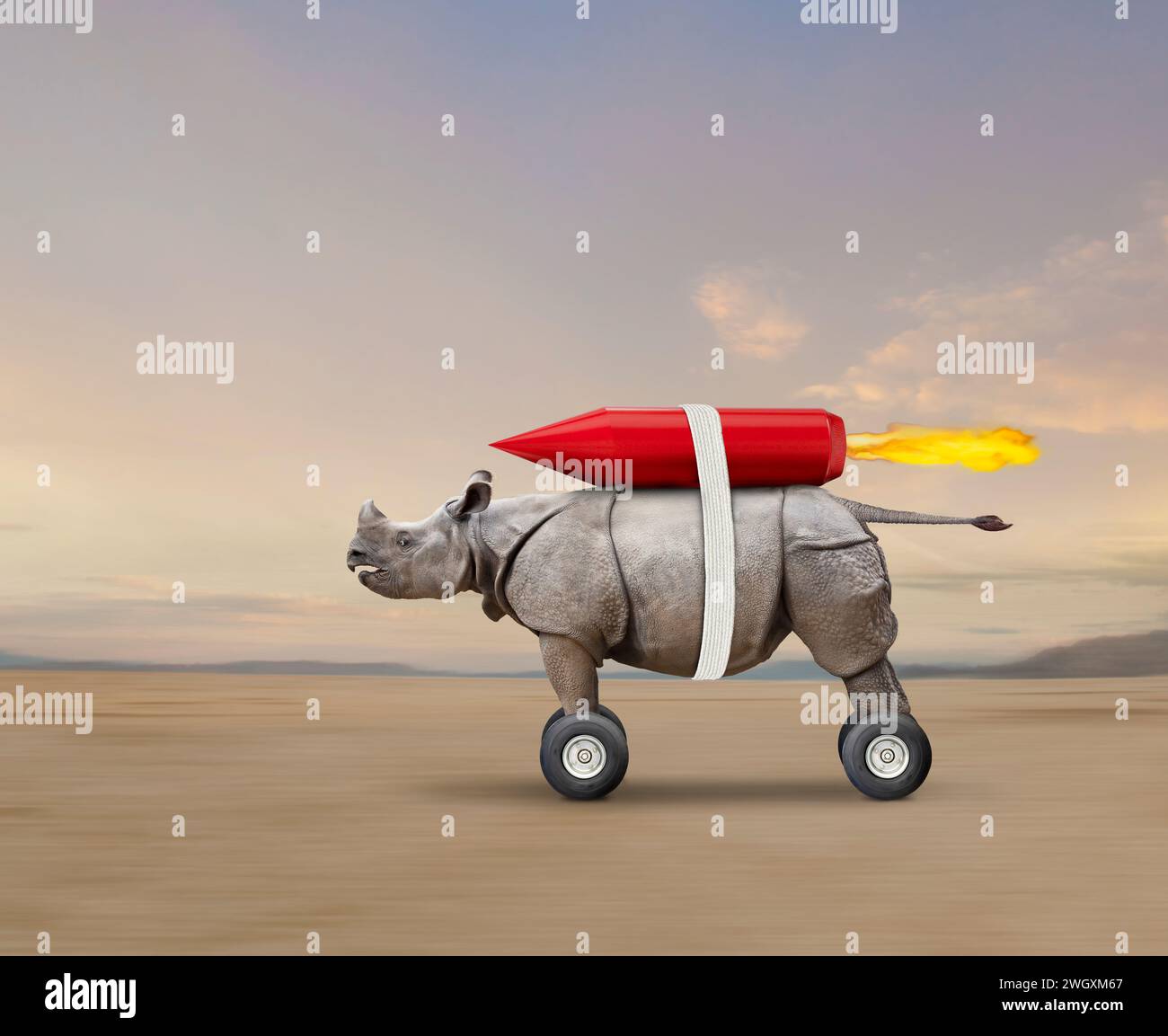 Un drôle de rhinocéros roule à travers la plaine, sur roues, propulsé par une fusée accrochée à son dos dans une image sur la vitesse, l'innovation et la technologie. Banque D'Images