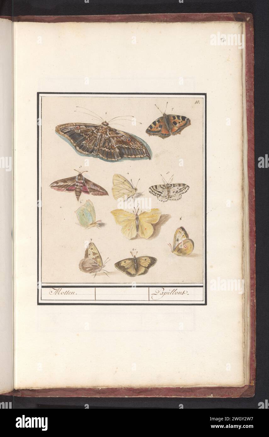 Papillons et papillons de nuit, Anselmus Boëtius de Boodt, 1596 - 1610 dessin feuille avec dix papillons et papillons de nuit ou papillons de nuit, numérotés de 1 à 10. Numéroté en haut à droite : 10. Fait partie du sixième album avec des dessins de poissons, coquillages et insectes. Sixième de douze albums avec des dessins d'animaux, d'oiseaux et de plantes connus vers 1600, réalisé sur commande de l'empereur Rudolf Ier Avec explication en néerlandais, latin et français. Journal de Prague. crayon. craie. aquarelle (peinture). peinture de pont. brosse à encre / stylo insectes : papillon. insectes : mites Banque D'Images