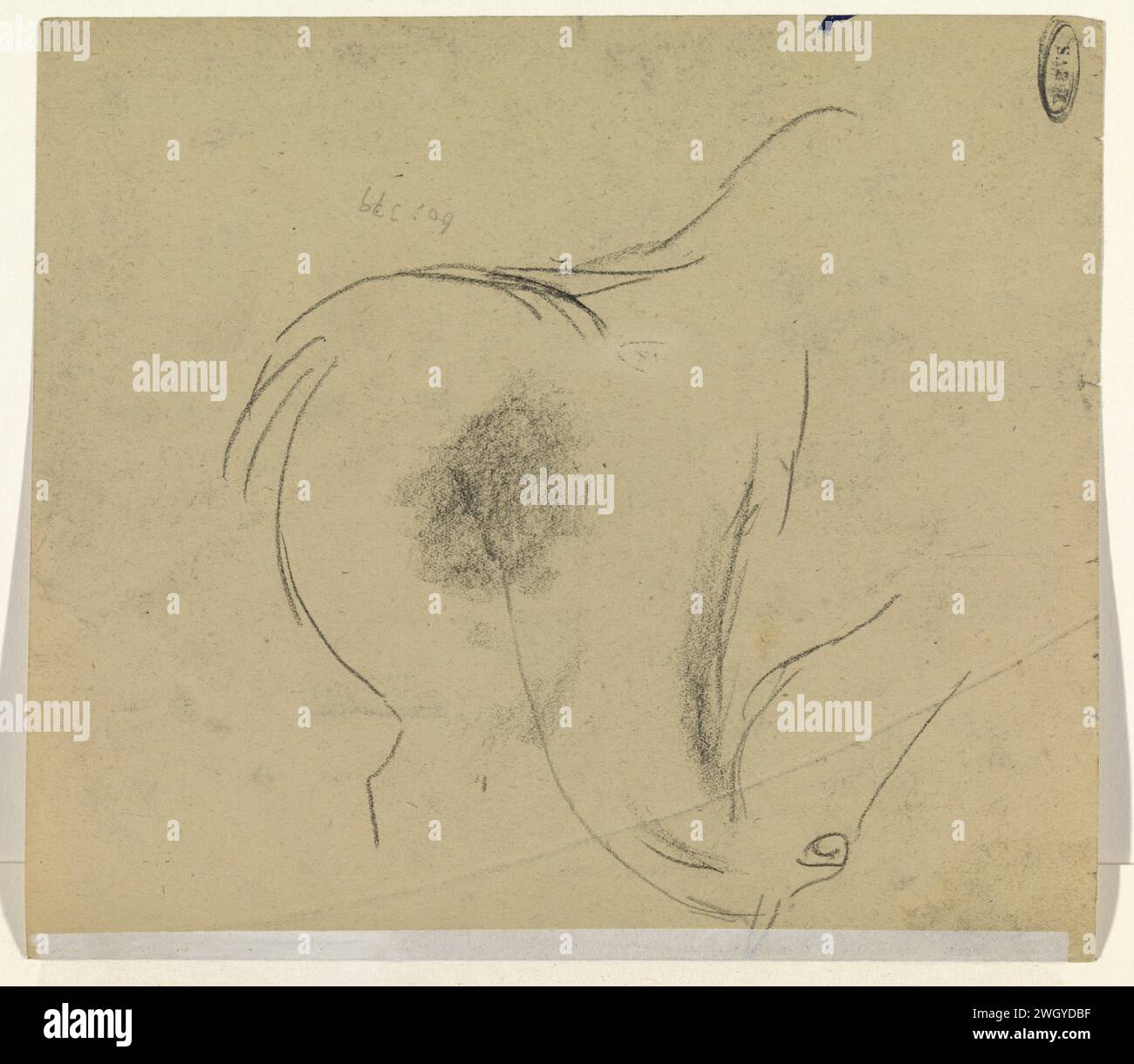 Tête de cheval, Leo Gestel, 1891 - 1941 papier à dessin. cheval de craie Banque D'Images