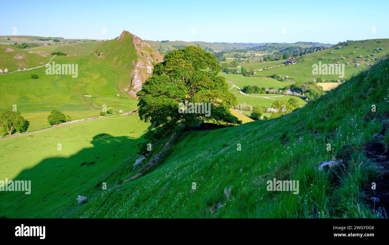 Buxton, Royaume-Uni - 4 juin 2023 : lumière du soir d'été au-dessus de Parkhouse Hill, Peak District National Park, Royaume-Uni Banque D'Images