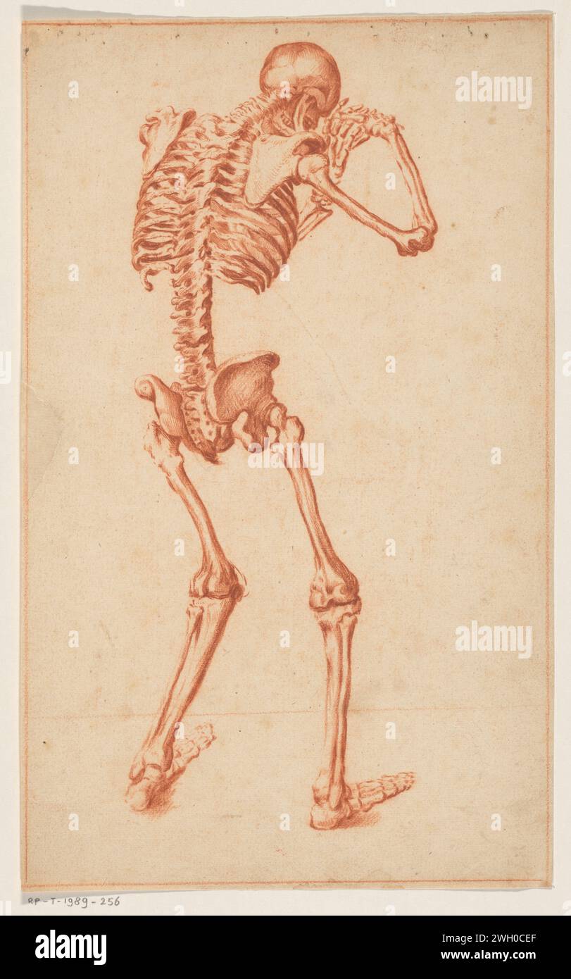 Skelete, Anonyme, d'après Jan Stefan van Calcar, 1640 - 1649 dessin papier Low Countries. squelette de craie (humain) Banque D'Images