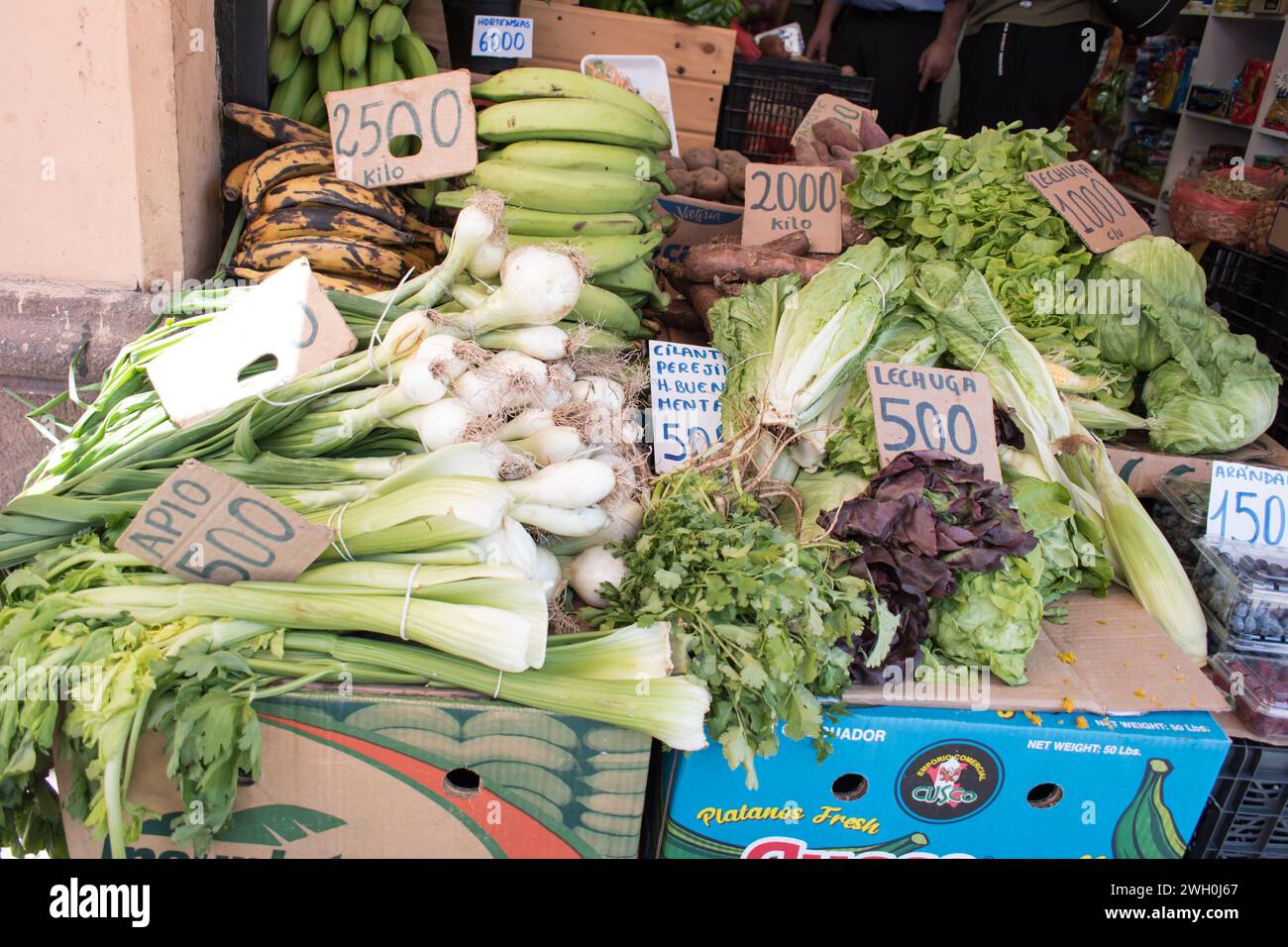 Les étals du marché entourant Mercado Central au Chili offrent une gamme dynamique de produits, y compris des fruits et légumes frais. Banque D'Images