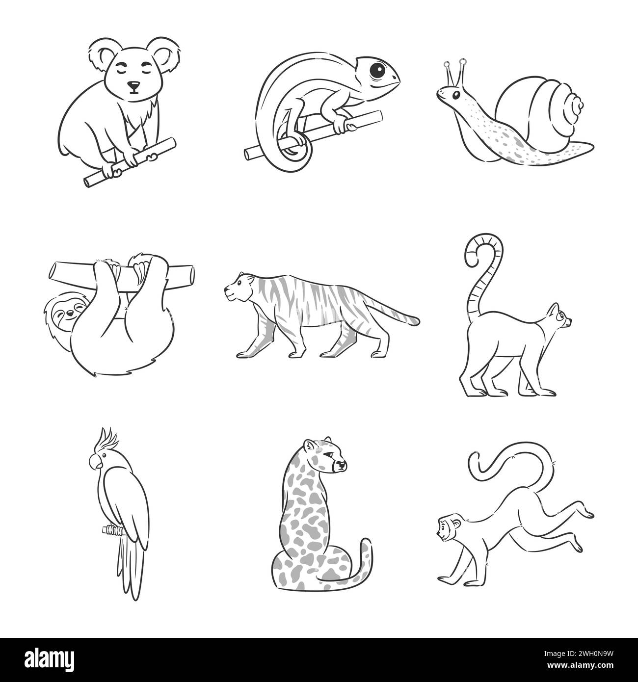 Ensemble d'animaux mignons de la jungle pour la coloration Illustration de Vecteur