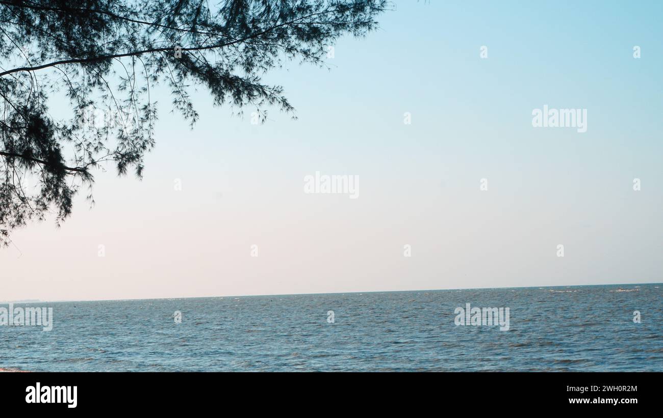 Une image minimaliste et simple qui montre un ciel bleu, des arbres avec une atmosphère calme typique sur la plage Banque D'Images