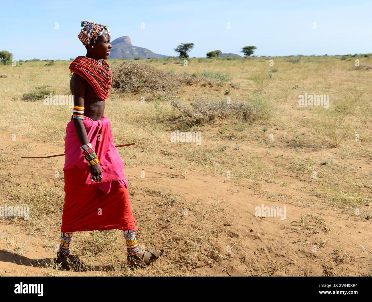 Une jeune femme Samburu portant un collier traditionnel à perles multiples. Route Laisamis-South Horr, Kenya Banque D'Images