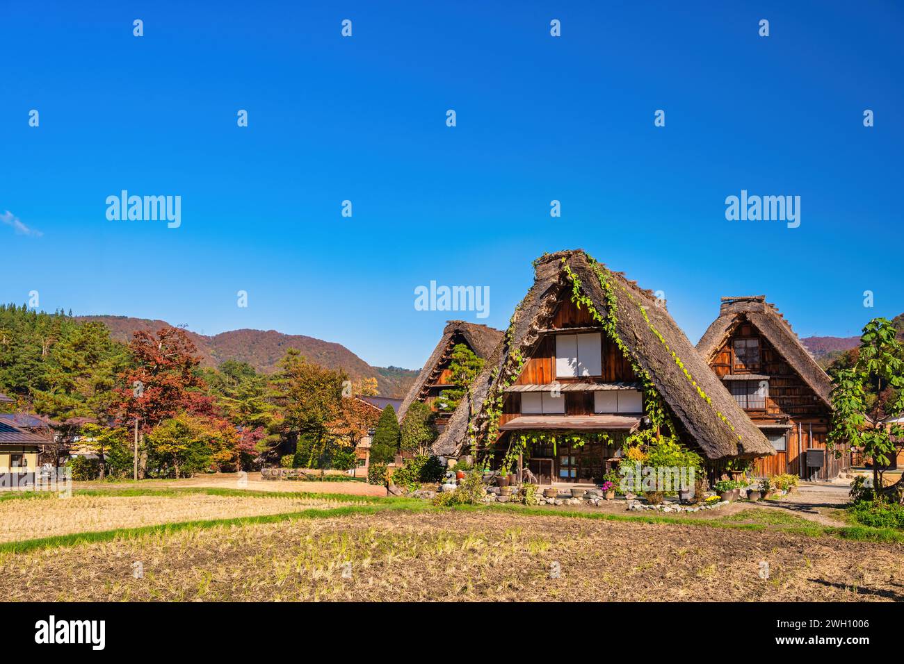 Village de Shirakawago Gifu Japon, Maison Gassho traditionnelle japonaise historique au village de Shirakawa en saison de feuillage d'automne Banque D'Images