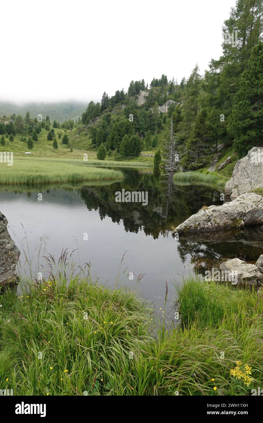 Naturel grand angle autrichien calme paysage des alpes pittoresques d'un pin conifère, rochers à un petit lac Banque D'Images