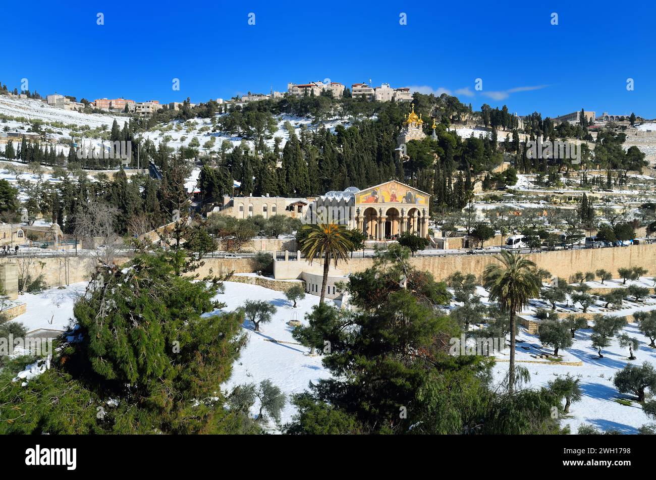 Paysage hivernal pittoresque avec collines enneigées, montagnes et arbres : Mont des oliviers , Jérusalem Banque D'Images