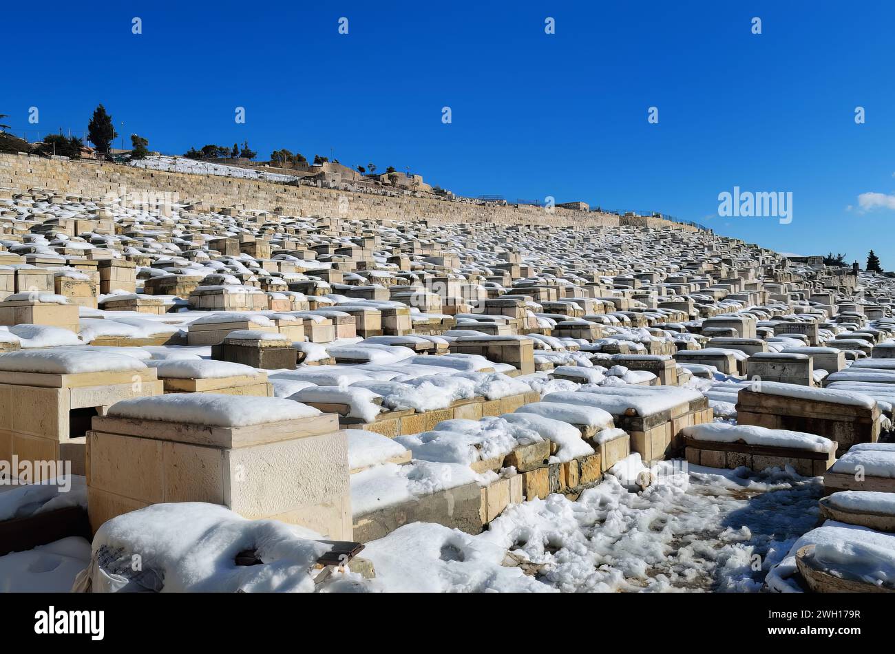 Espace extérieur enneigé avec des arbres sur un ciel bleu vif : Mont des oliviers , Jérusalem Banque D'Images