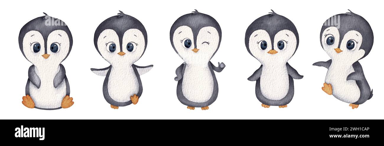 Des pingouins. Un ensemble de petits pingouins. Illustration dessinée à la main à l'aquarelle isolée sur fond blanc Banque D'Images
