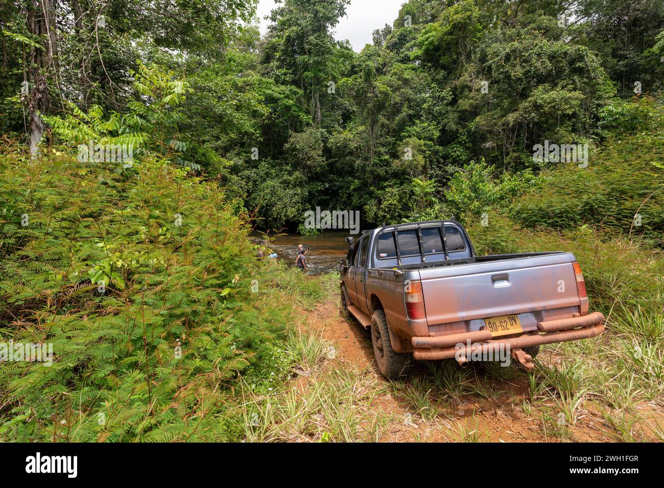 Expédition dans la jungle Surinam Banque D'Images