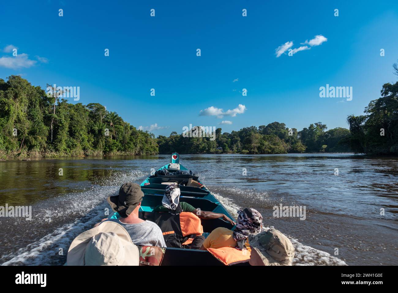 La vie naturelle et endémique entourant le fleuve Surinam Banque D'Images