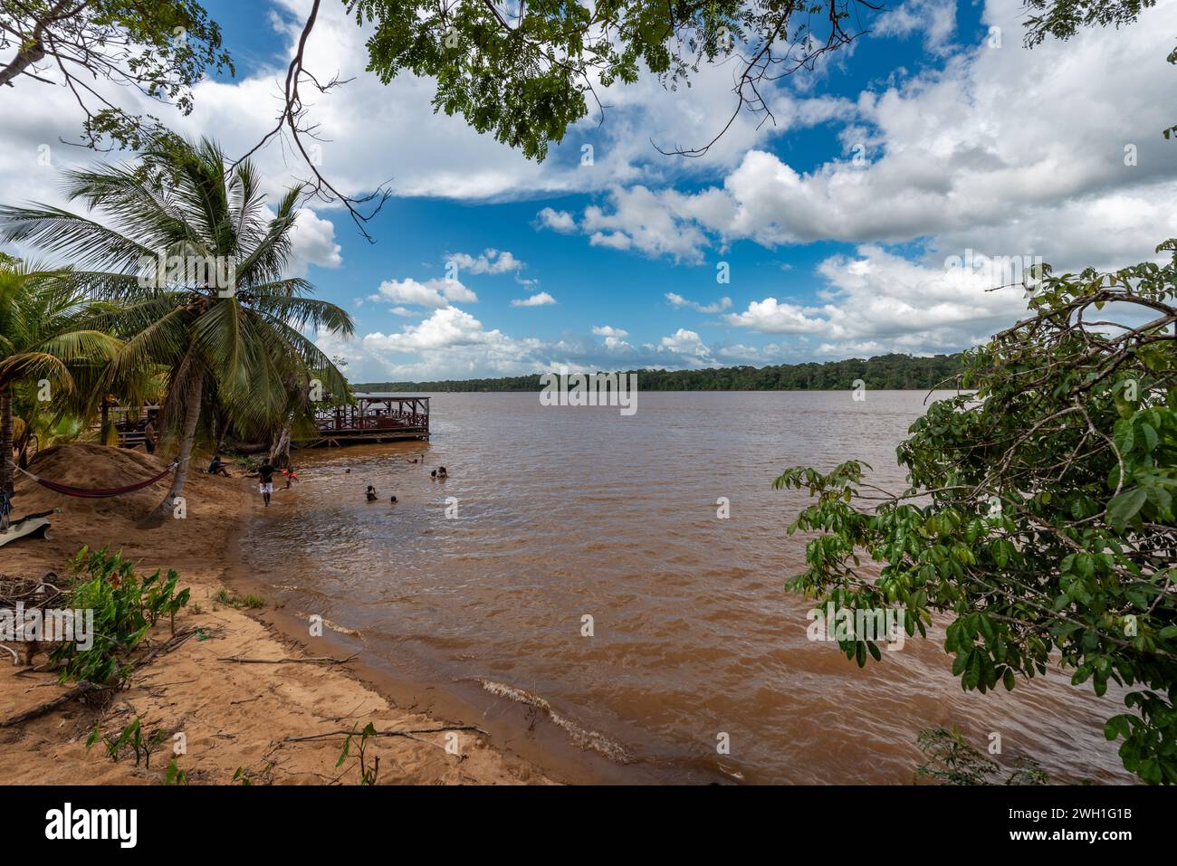 La vie naturelle et endémique entourant le fleuve Surinam Banque D'Images