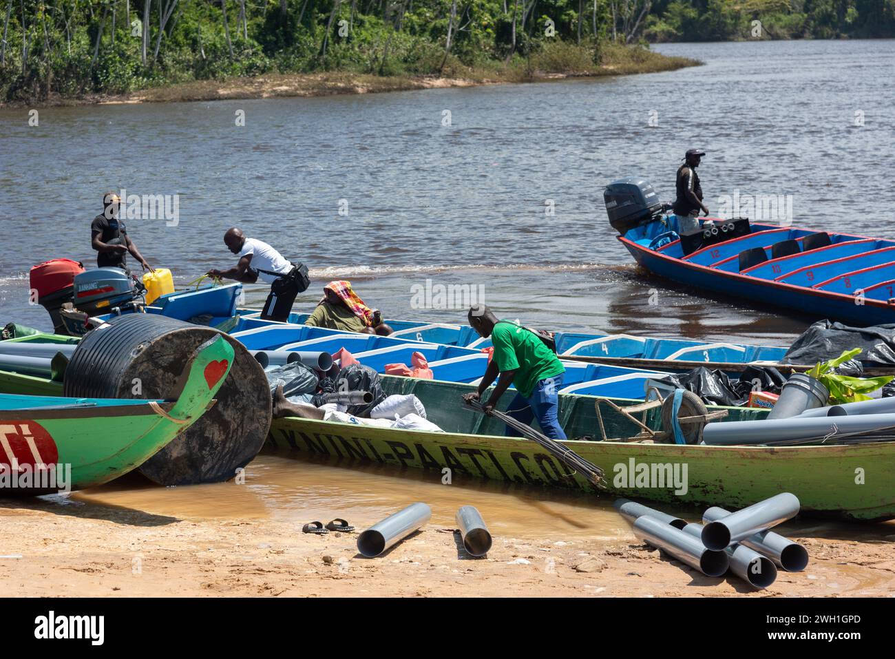 La vie naturelle et endémique entourant le fleuve Surinam Banque D'Images