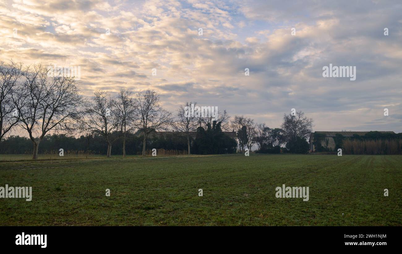 Champs et prairies près d'Arles France par un matin nuageux en hiver Arles France Banque D'Images