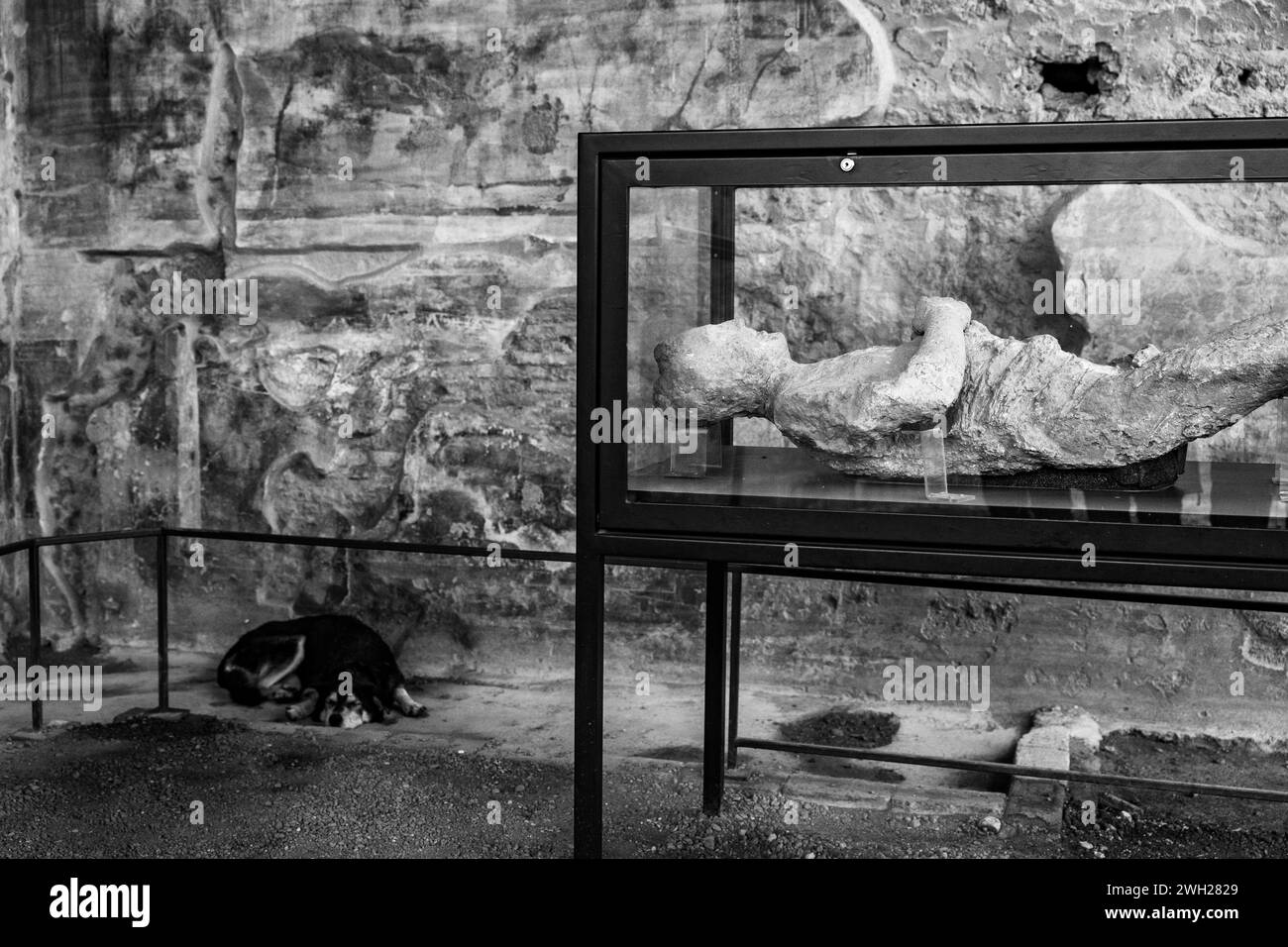 Visite de la ville de Pompéi qui a été couverte de cendres volcaniques après l'éruption du Vésuve, lieux touristiques en Italie. Banque D'Images