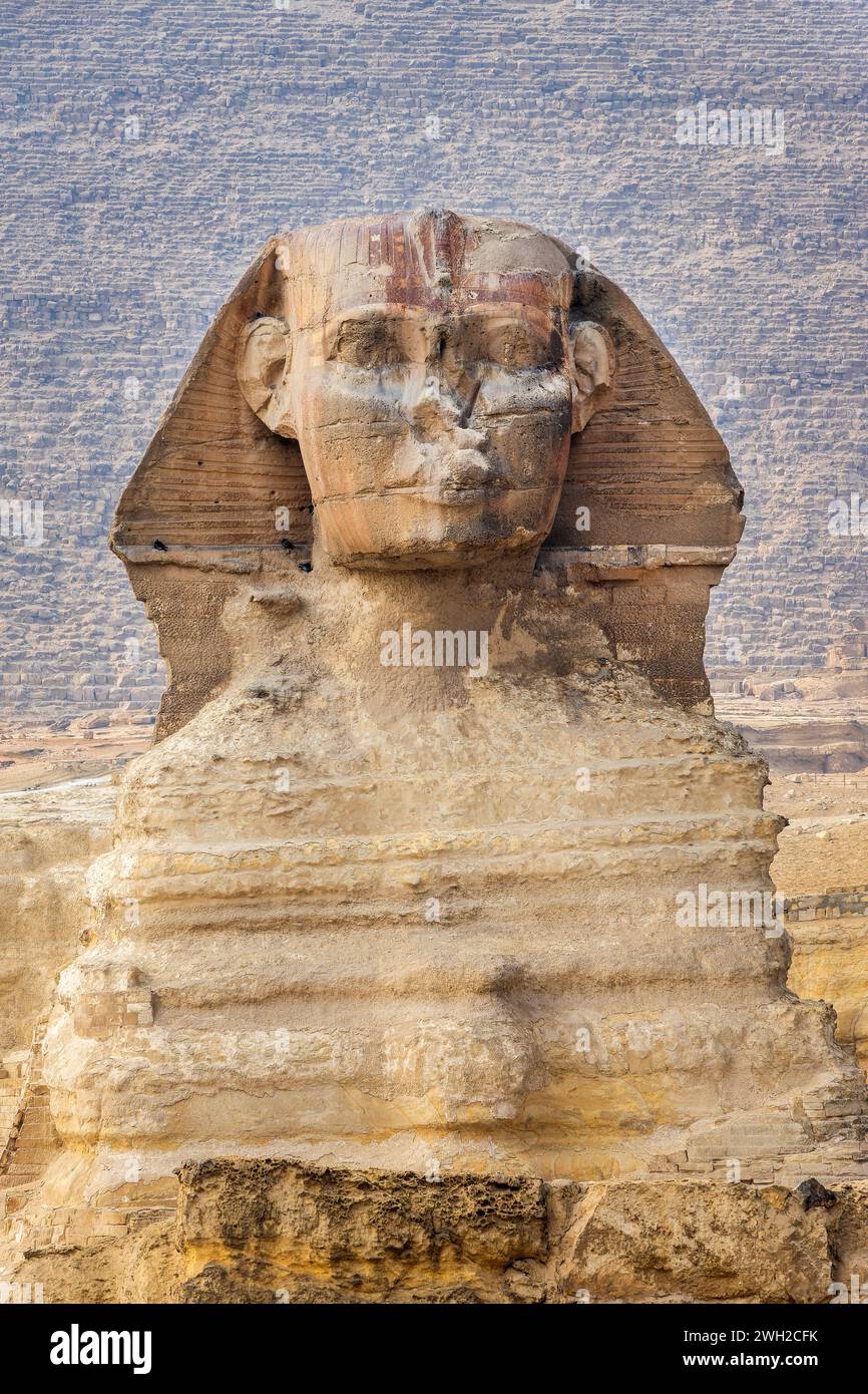 Vue de face du Grand Sphinx de Gizeh, le Caire, Egypte Banque D'Images