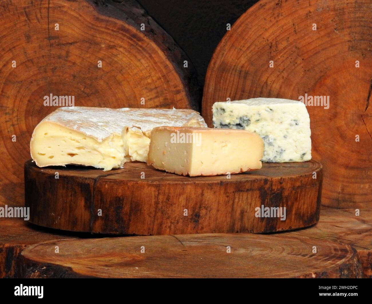 Les fromages artisanaux de la Serra da Canastra, située dans l'État du Minas Gerais, Brésil. Banque D'Images