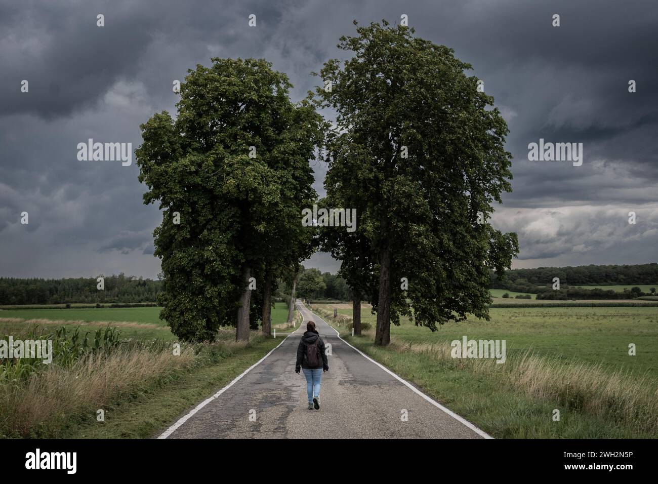 Une femme seule marche sur une route dans la campagne rurale de la région agricole des Ardennes belges. La femme a des arbres et des champs de chaque côté donnant la symétrie Banque D'Images