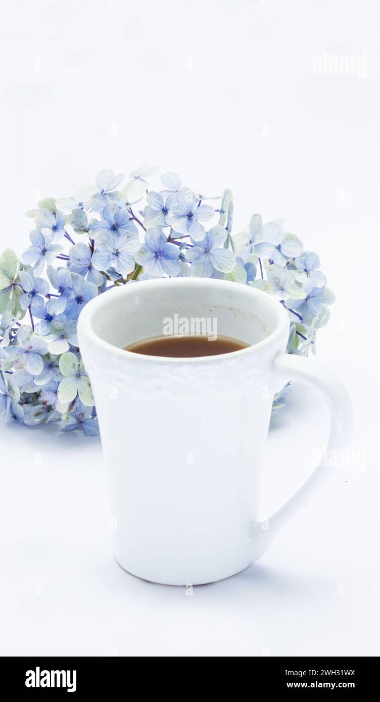 Tasse à café, tasse et fleur d'hortensia sur fond blanc Banque D'Images