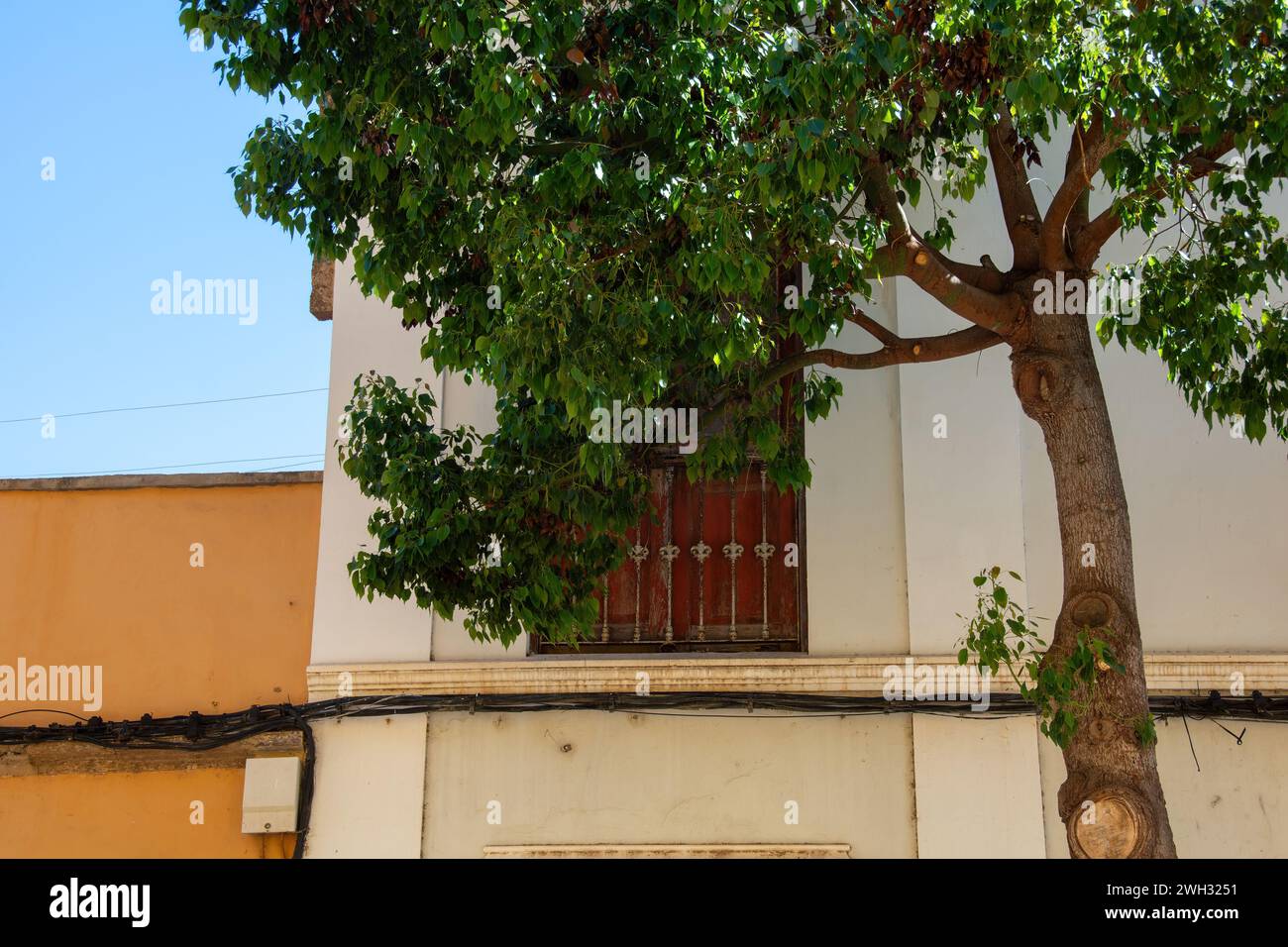 Maison en Espagne, avec fenêtre, arbre vert et câble d'alimentation sur le mur de la maison et ciel bleu Banque D'Images