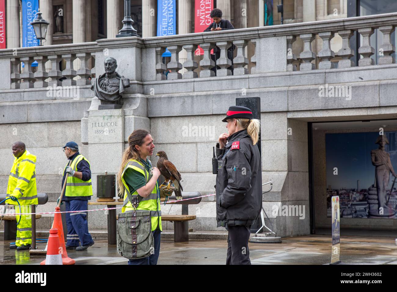 Manipulateur d'oiseaux Hawk à Trafalgar Square défrichant des pigeons et parlant à un gardien du patrimoine. Banque D'Images