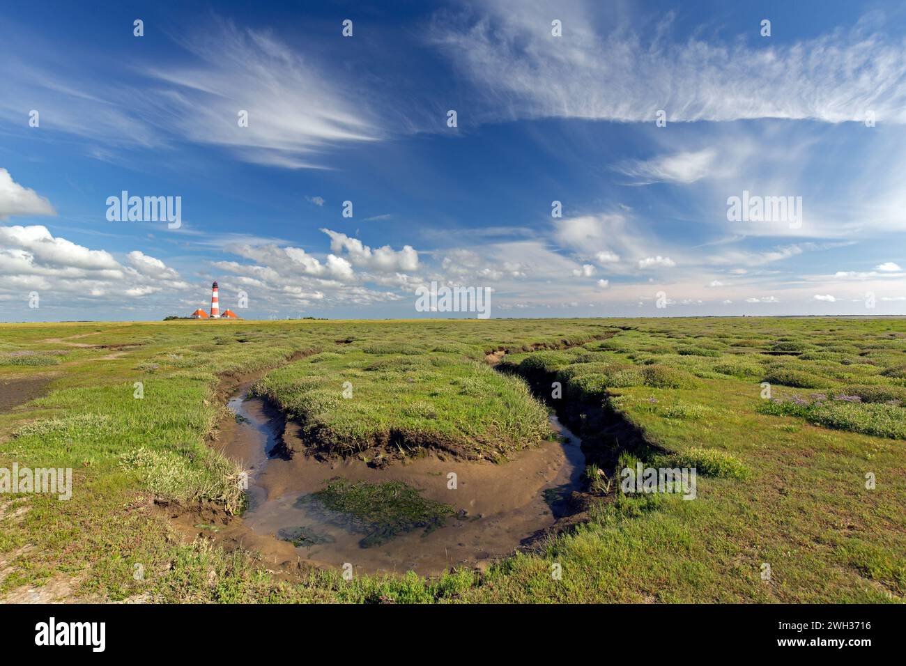 Marais salants et phare de Westerheversand à Westerhever en été, péninsule d'Eiderstedt, parc national de la mer des Wadden, Frise du Nord, Allemagne Banque D'Images Marais salants et phare de Westerheversand à Westerhever en été, péninsule d'Eiderstedt, parc national de la mer des Wadden, Frise du Nord, Allemagne Banque D'Images