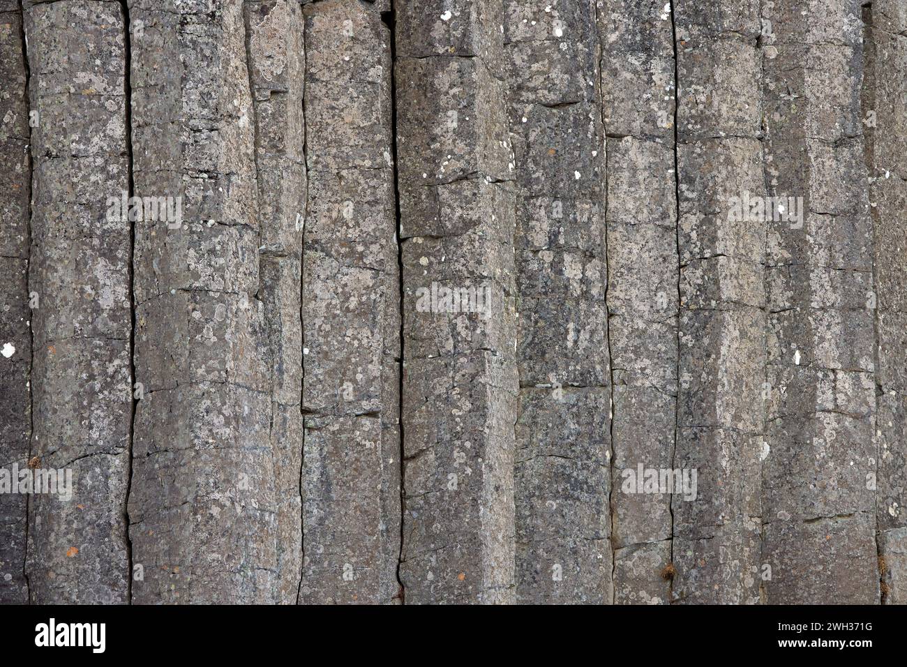 Falaise de dolérite montrant des colonnes de basalte hexagonales, des formations rocheuses volcaniques à Gerðuberg / Gerduberg sur la péninsule ouest de Snaefellsnes, Islande Banque D'Images